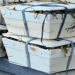 Oesters creuse n°3 (24 st per kist)