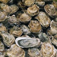 oester Oesters creuse n°3 (24 st per kist)